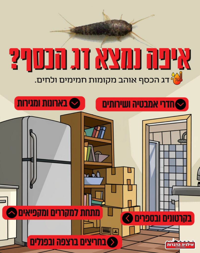 איפה נמצא דג הכסף?