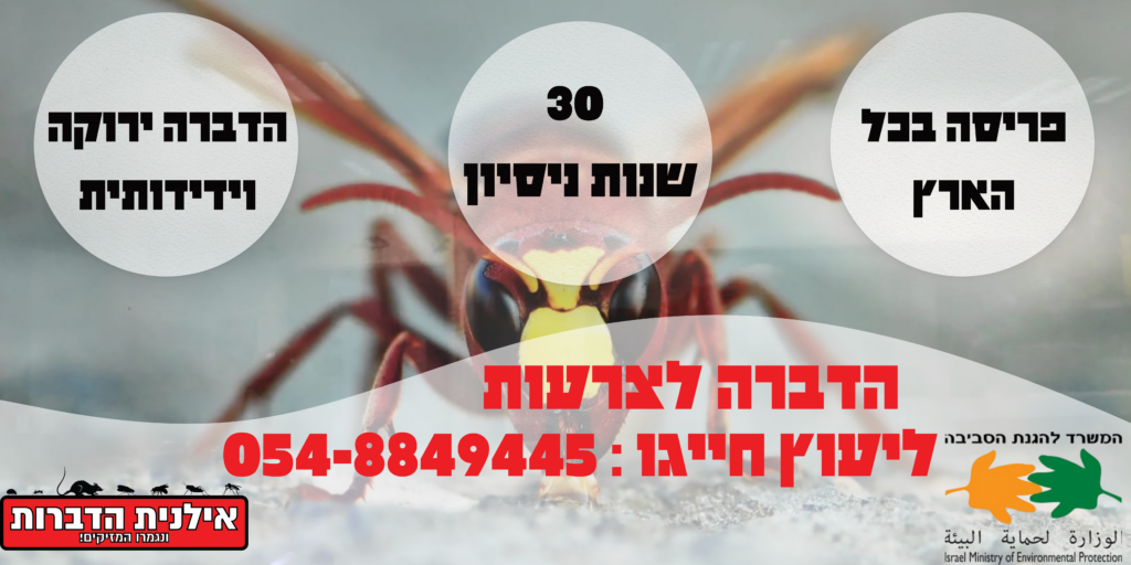 הדברה לצרעות