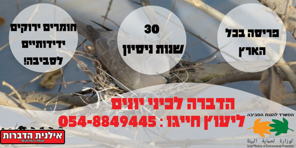 הדברת כיני יונים