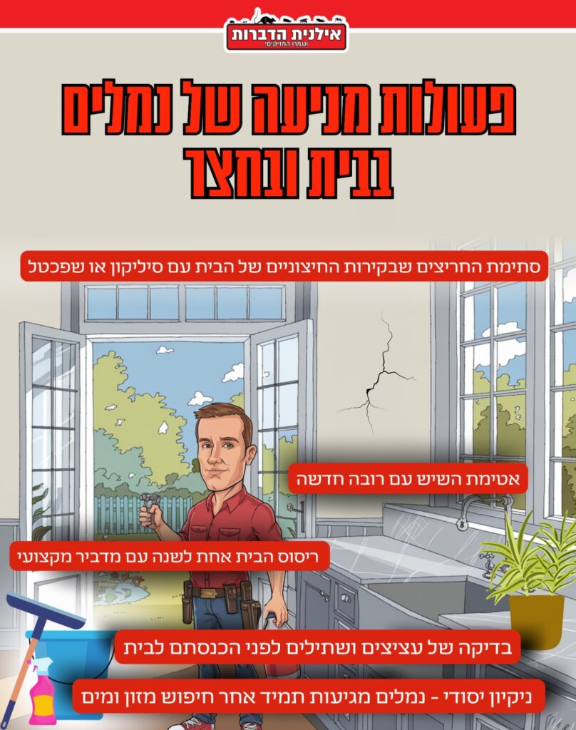 מניעת נמלים בבית