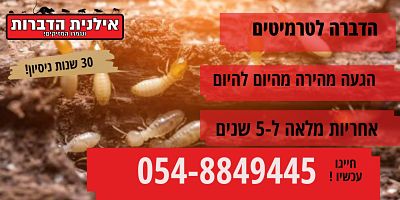 הדברה לטרמיטים