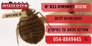 הדברת פשפשים (פשפש המיטה בבת ים )