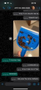 הדברה לגוקים שבאמת עובדת