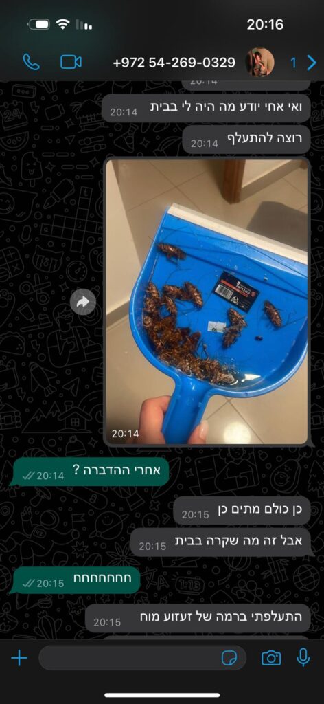 הדברה לגוקים שבאמת עובדת