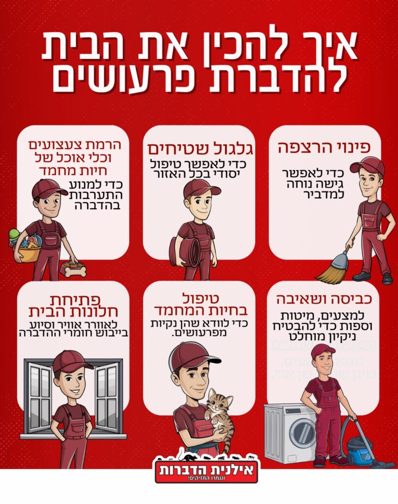 איך להכין את הבית להדברת פרעושים