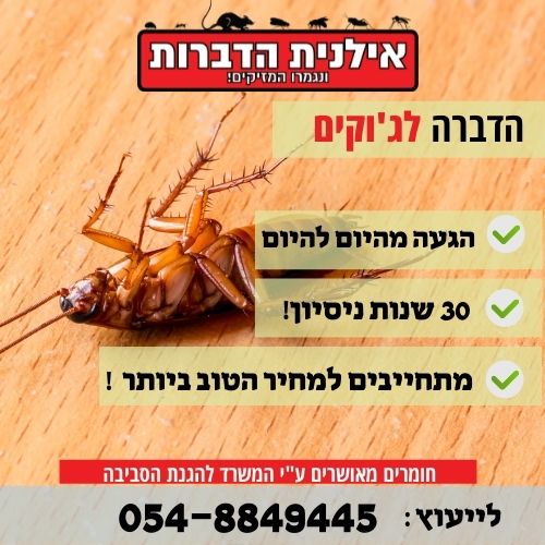 הדברה לג'וקים