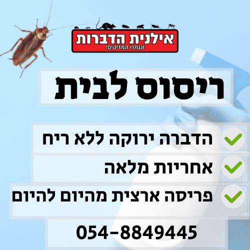 ריסוס לבית