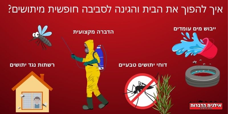 בית ללא יתושים