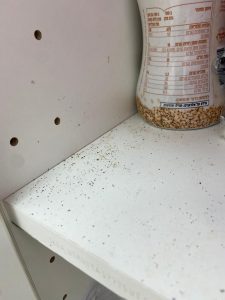סימנים לנגיעות תיקנים בארון מטבח