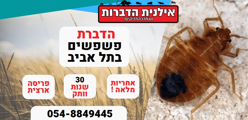 הדברה לפשפשים בת"א