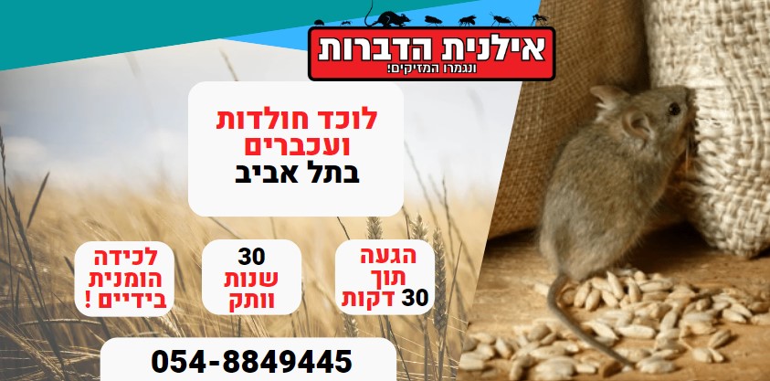 לוכד חולדות ועכברים בתל אביב
