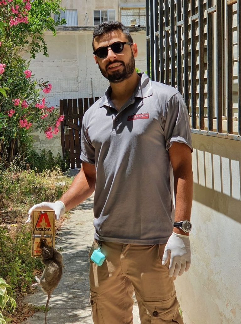 לוכד עכברים