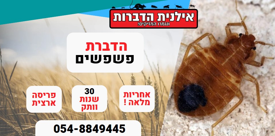 הדברת פשפשים