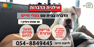 הדברה בבית עם בעלי חיים