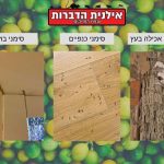 סימני נגיעות טרמיטים