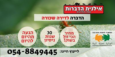 הדברה לדירה שכורה