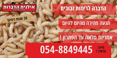 הדברה לרימות זבובים
