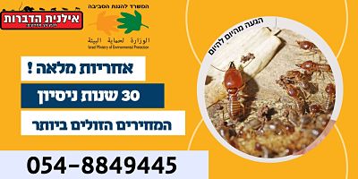 הדברת טרמיטים באשדוד