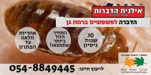 הדברה לפשפשים ( פשפש המיטה ) ברמת גן