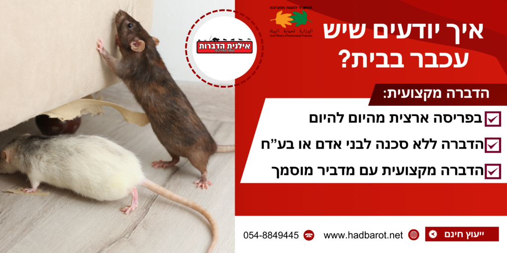 איך יודעים שיש עכבר בבית?