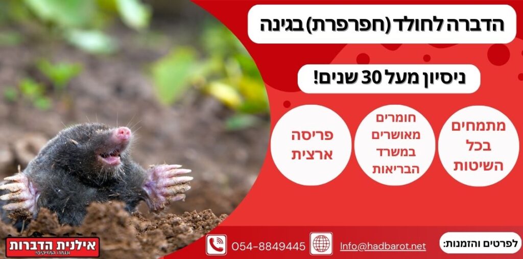 הרחקת חולד מהבינה
