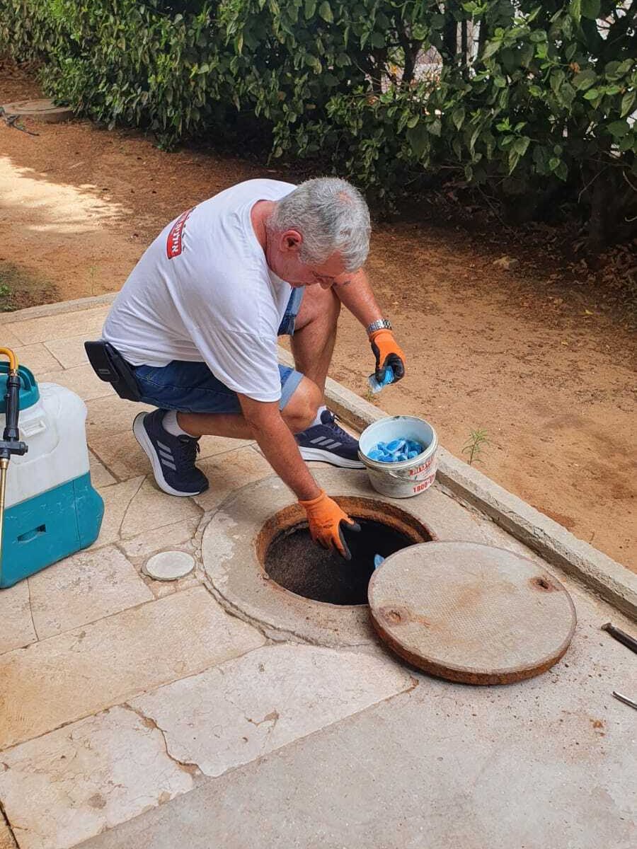 הדברת חולדות בביוב
