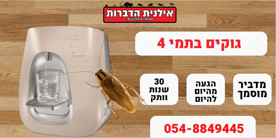 גוקים בתמי 4