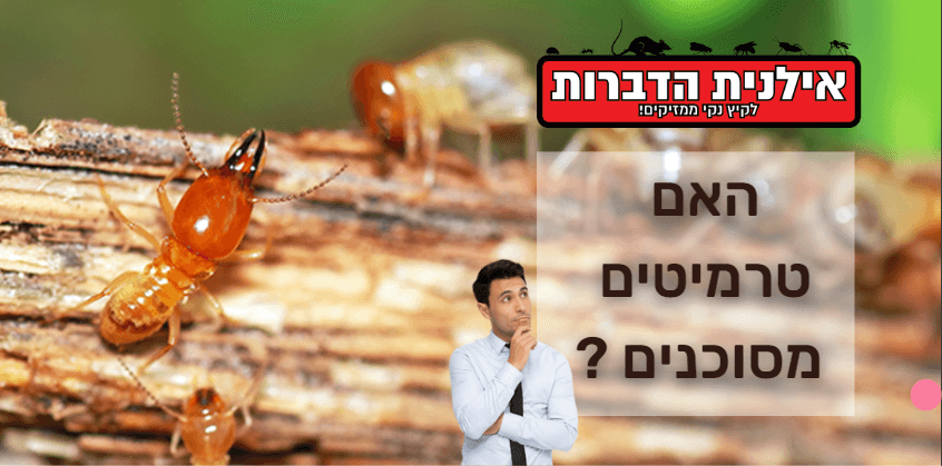 האם הטרמיטים מסוכנים לבני אדם