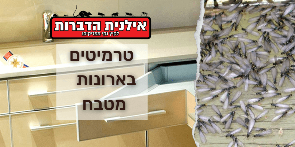 טרמיטים בארון מטבח