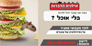 כמה זמן עכבר יכול לחיות בלי אוכל