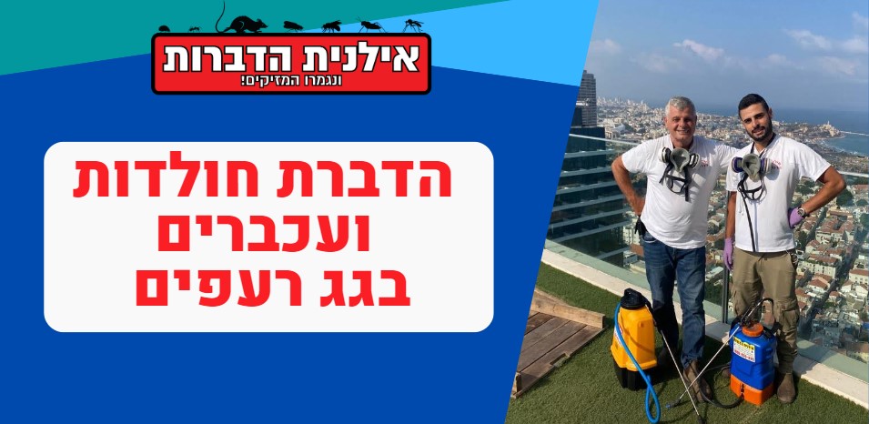 הדברת עכברים בגגות רעפים
