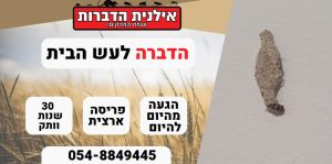 הדברה לעש הטיח עש הבית