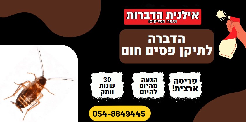 הדברה לתיקן פסים חום