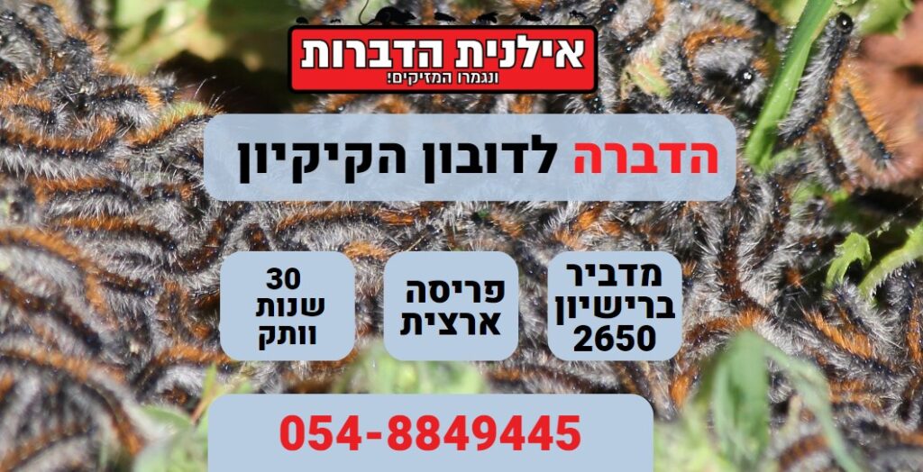 הדברה לדובון הקיקיון