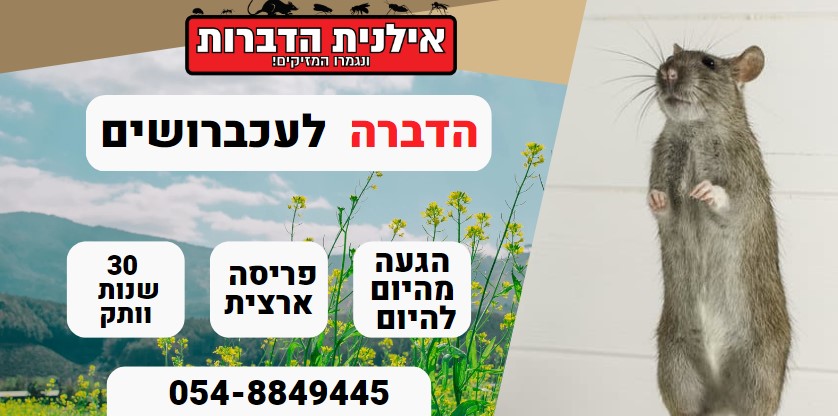 הדברה לעכברושים