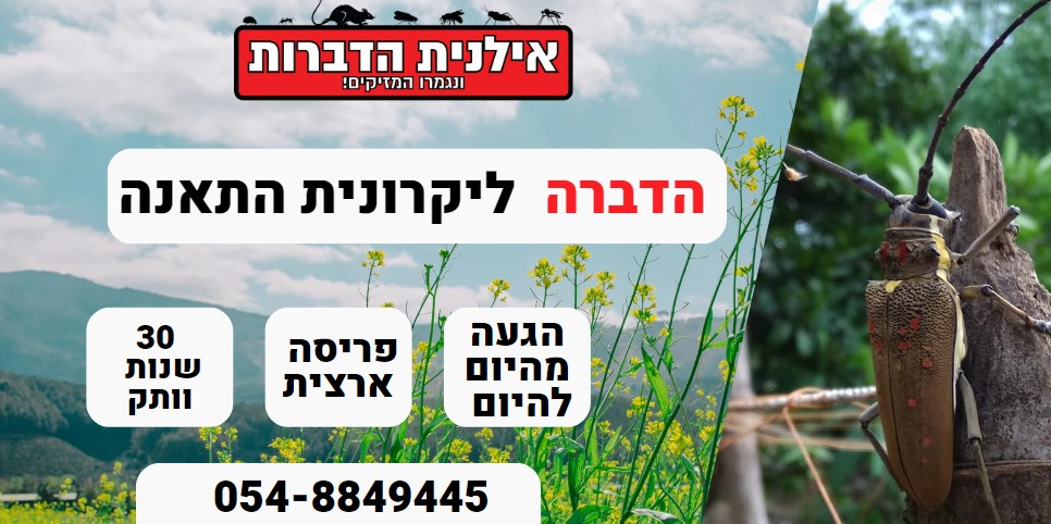 הדברה ליקרונית התאנה