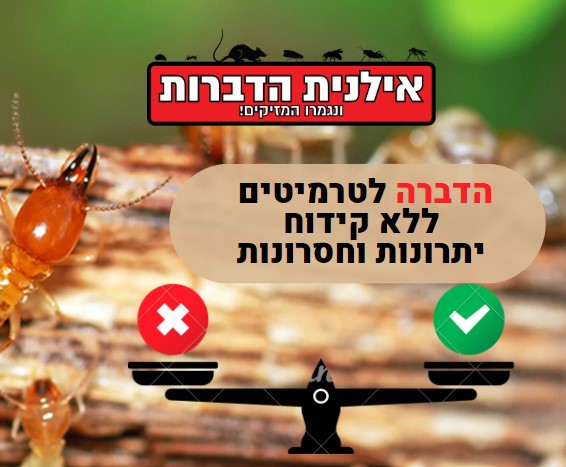 הדברת טרמיטים ללא קידוח יתרונות וחסרונות