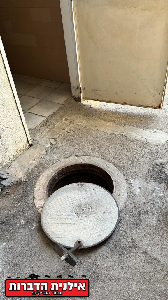 הדברת חולדות בביוב בבניין