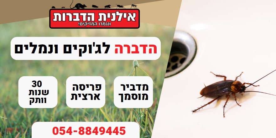 הדברה לגוקים ונמלים