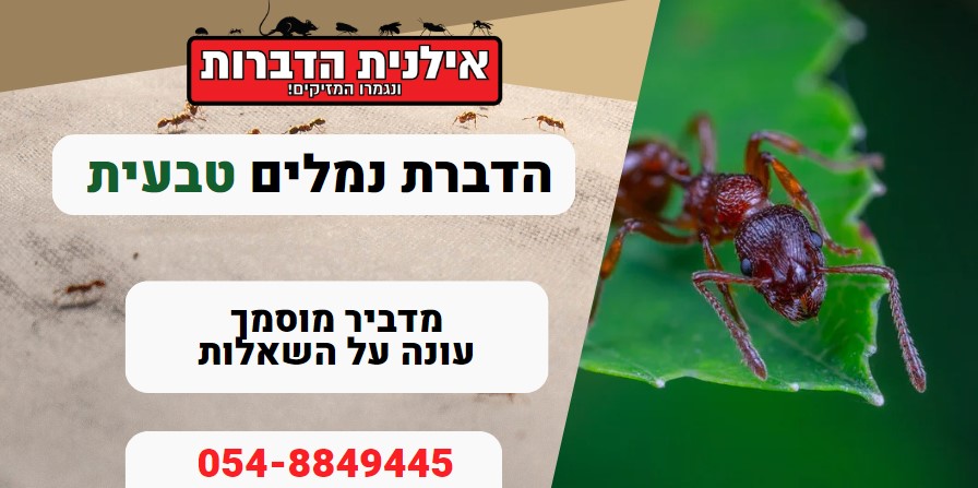הדברת נמלים טבעית