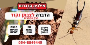 הדברה לצבתן נקוד חרק מספרים