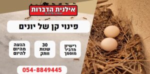פינוי קן של יונים