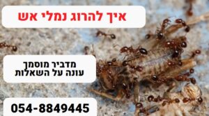 איך להרוג נמלי אש