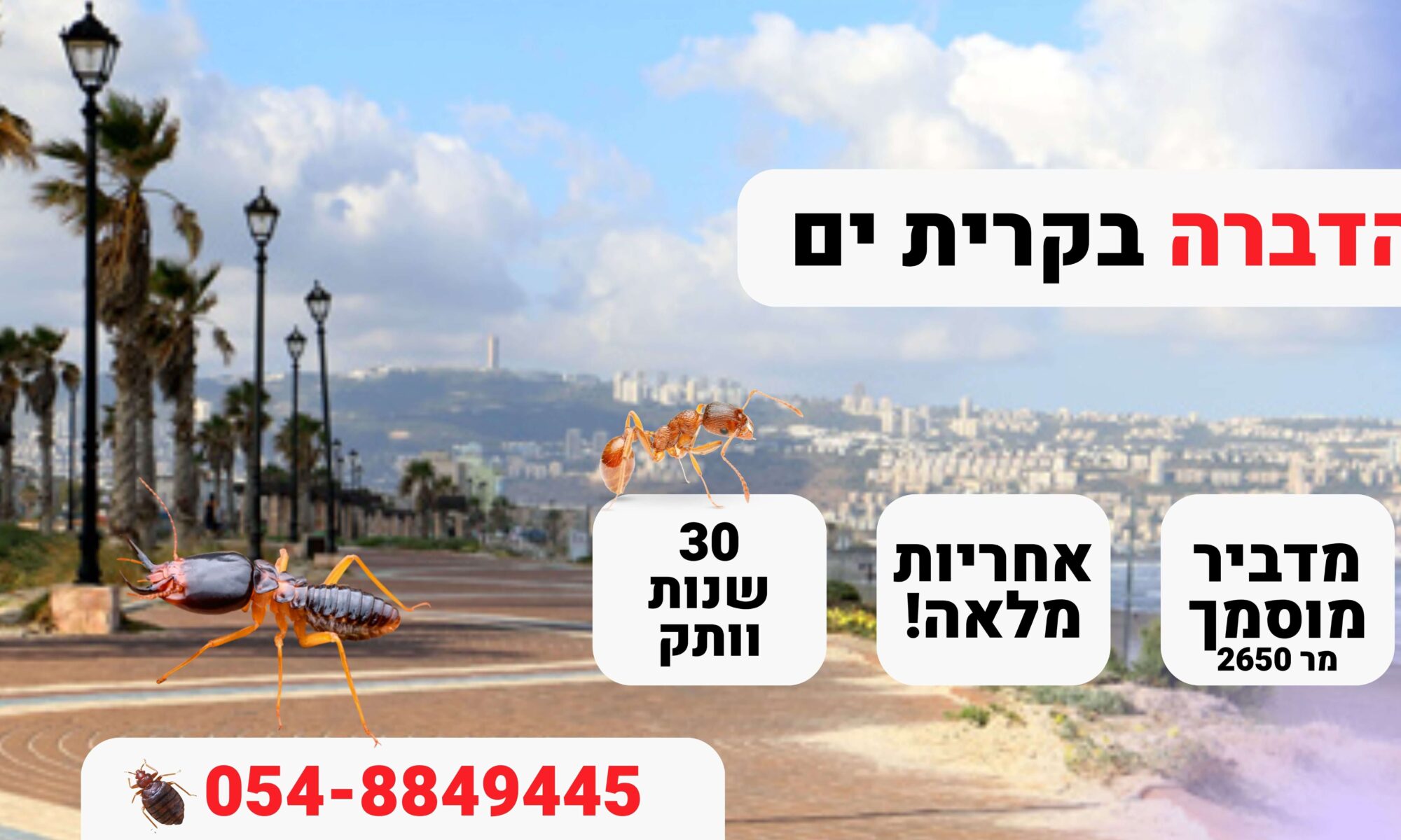 הדברה בקרית ים