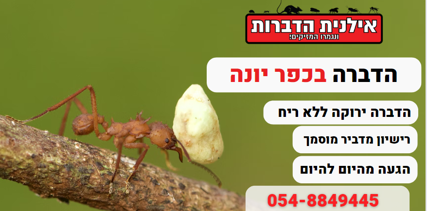 הדברה בכפר יונה