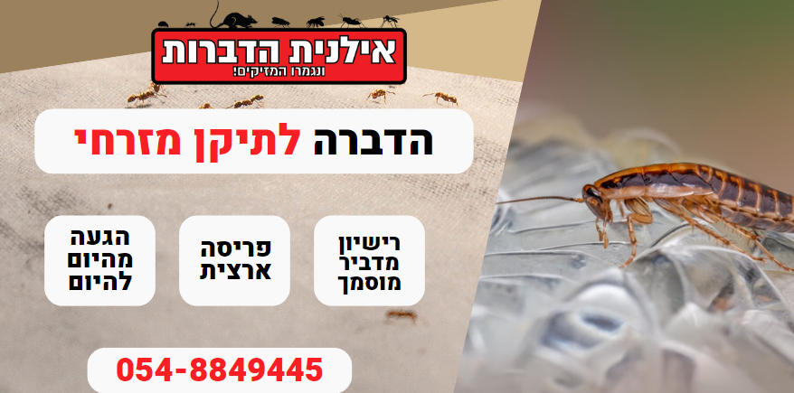 הדברת תיקן מזרחי