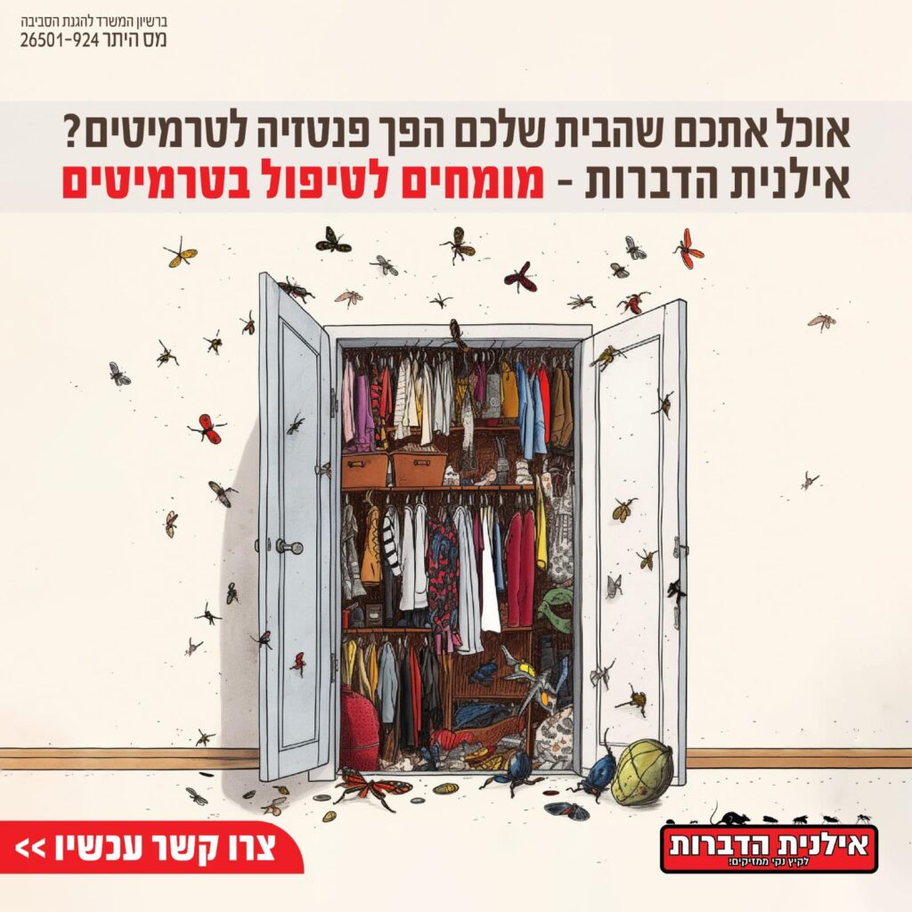 הדברה לטרמיטים