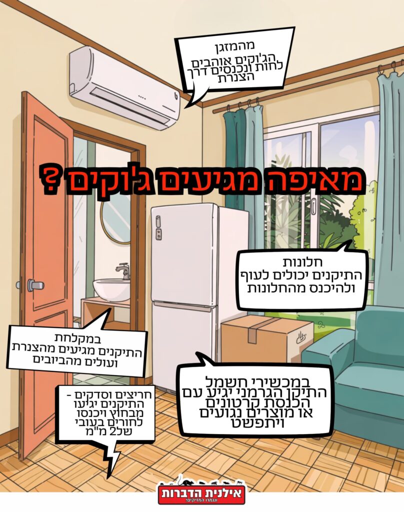מאיפה מגיעים ג'וקים?