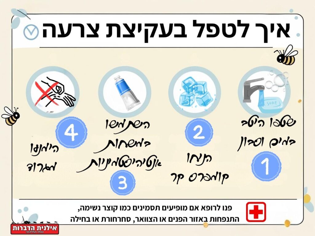 איך לטפל בעקיצת צרעה
