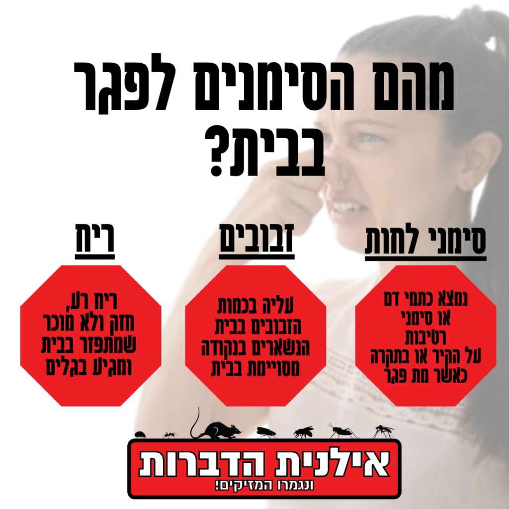 מה הסימנים לפגר בבית?